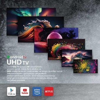 Conti CT55AN100U 55 inç 4K LED Televizyon