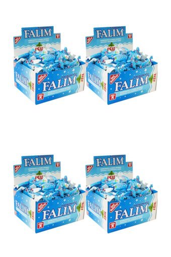 Falım Nane Aromalı Şekersiz Sakız 100'lü 4 Adet
