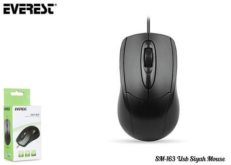 Everest SM-163 Yatay Kablosuz Siyah Optik Mouse