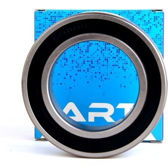 Art 6017.2RS Art Rulman