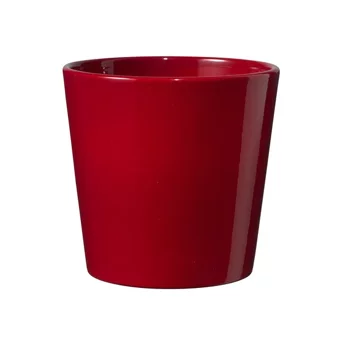 Dallas Saksı Bordo 14 cm