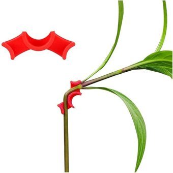 Grow Wizard Bitki Düşük Lst Eğitim Klipsi 10 Adet