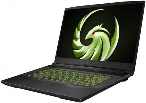MSI Alpha 17 B5EEK 005XTR Harici AMD Radeon RX 6600M Ekran Kartlı AMD Ryzen 7 5800H 16 GB Ram DDR4 512 GB SSD 17.3 inç FHD FreeDOS Laptop