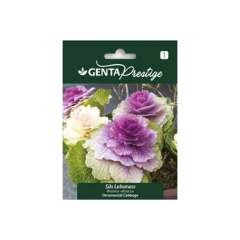 Genta Prestige Süs Lahanası Tohumu