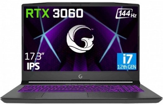 Game Garaj Slayer2 7XL 3060 C2 Harici GeForce RTX 3060 Ekran Kartlı Intel Core i7 12700H 32 GB Ram DDR4 1 TB SSD 17.3 inç FHD FreeDOS Laptop