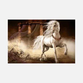 Artist Kanvas Tablo 70x100 cm