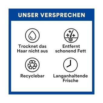 Mena Rise Batiste Fresh Kuru Şampuan - Fresh Dry Shampoo 200 ml